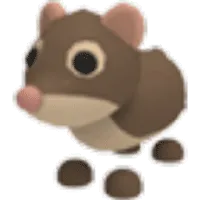 Shrew