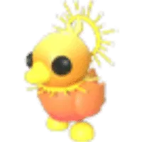 Sunrise Duckling