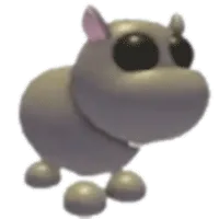Hippo